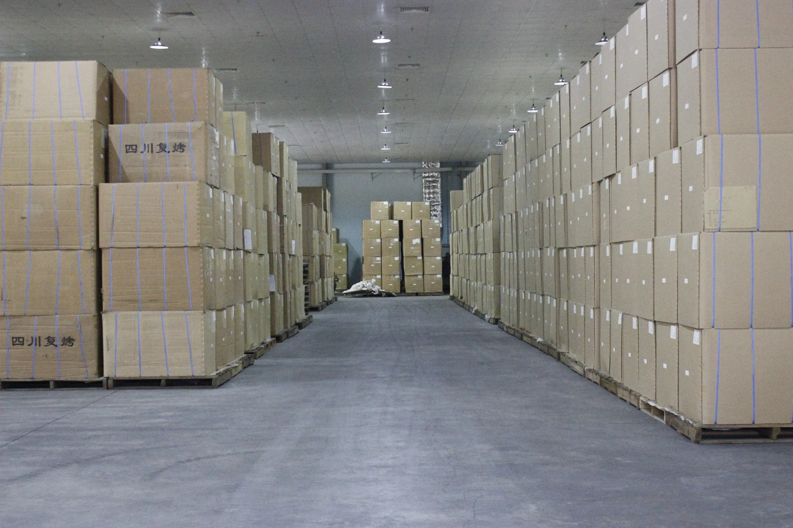 Logistic